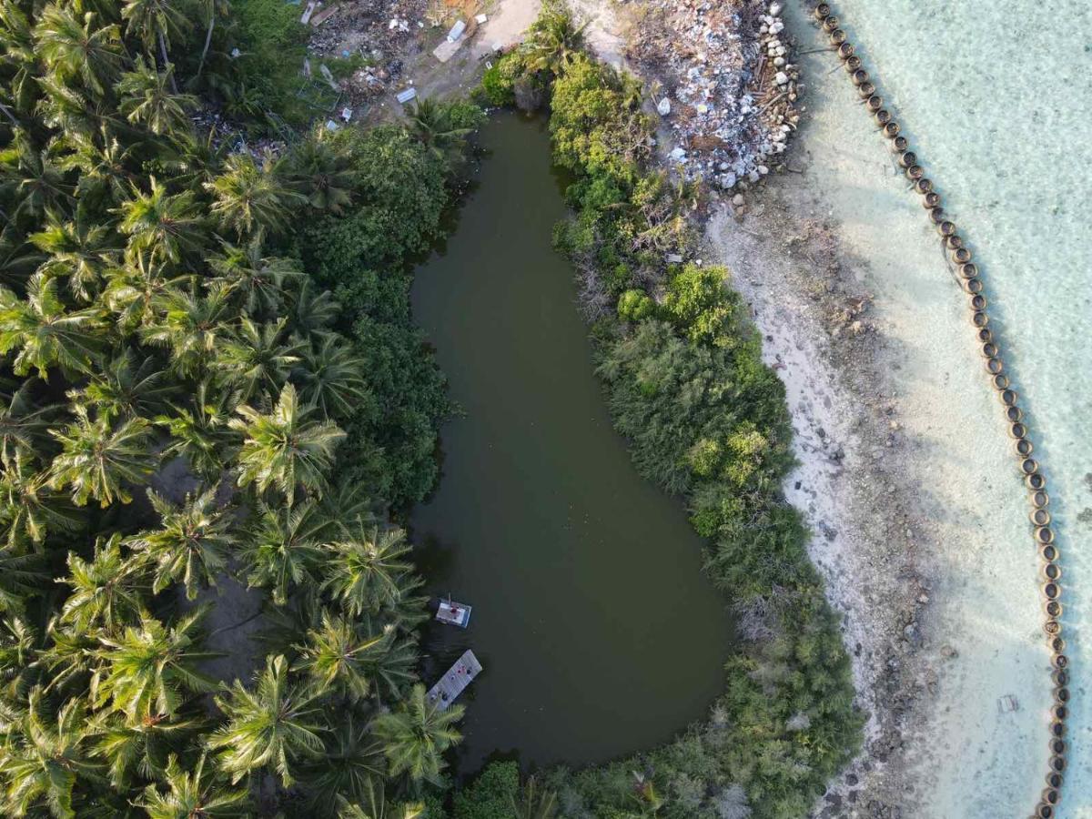 פלידהו Finolhu Beach Guest House מראה חיצוני תמונה