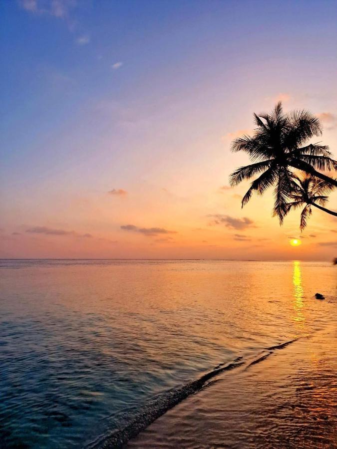 פלידהו Finolhu Beach Guest House מראה חיצוני תמונה